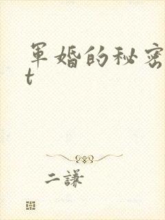军婚的秘密txt