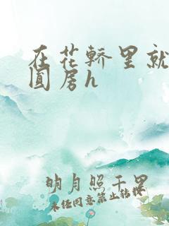 在花轿里就开始圆房h