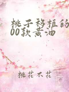 桃子移植的1000款黄油