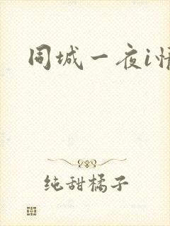 同城一夜i情