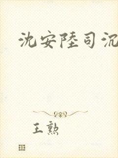 沈安陆司沉小说