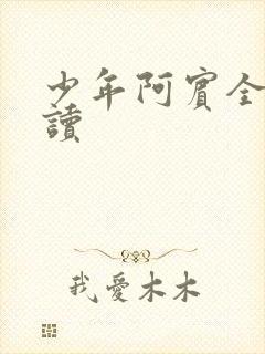 少年阿宾全本阅读