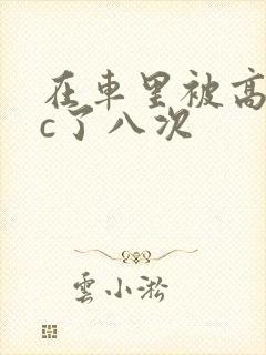 在车里被高潮被c了八次