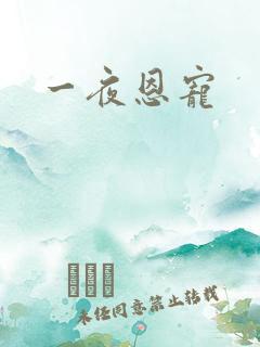 一夜恩宠