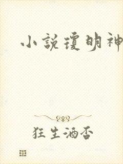 小说琼明神女录