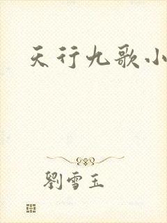 天行九歌小说
