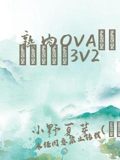 熟肉OVAちゃんはしたい3V2