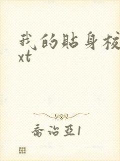 我的贴身校花txt