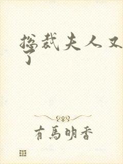 总裁夫人又征婚了