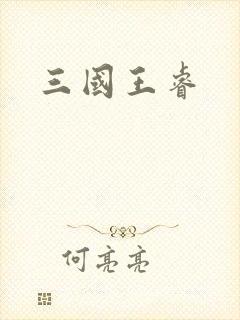 三国王睿