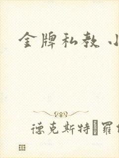 金牌私教 小说