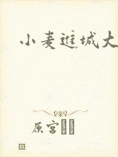 小麦进城大结局