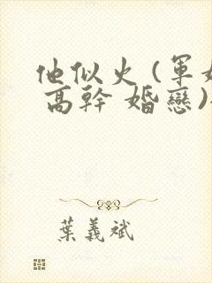 他似火 (军婚 高干 婚恋)全文在线阅读