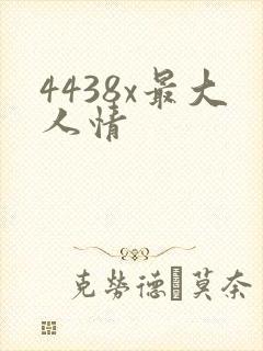 4438x最大人情