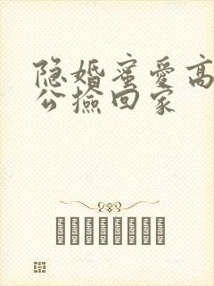 隐婚蜜爱高冷老公捡回家