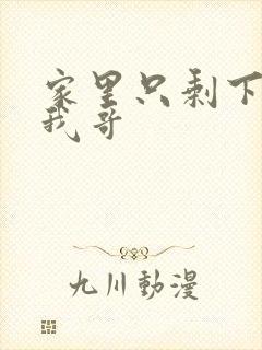 家里只剩下我和我哥