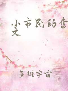 小市民的奋斗燃文