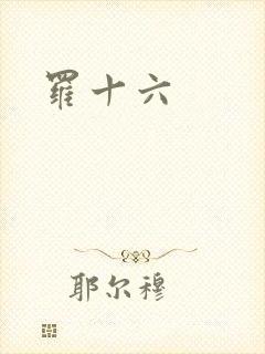 罗十六