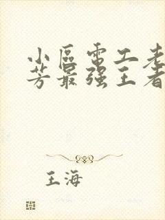 小区电工老周刘芳最强王者