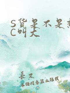S货是不是想挨C叫大