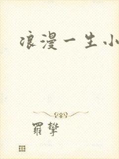浪漫一生小说网