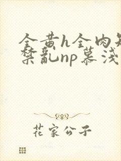 全黄h全肉短篇禁乱np慕浅浅