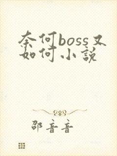 奈何boss又如何小说