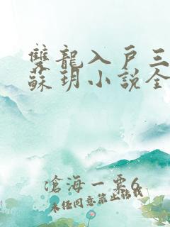 双龙入户三人行苏玥小说全文阅读