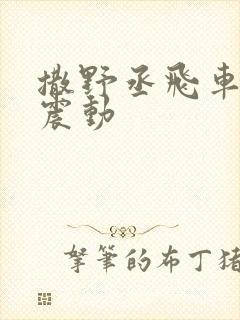 撒野丞飞车道具震动