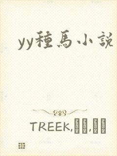 yy种马小说