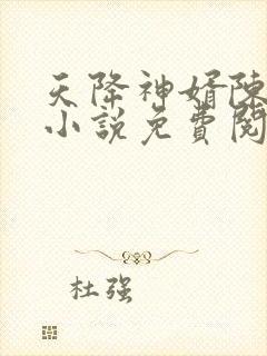 天降神婿陈黄皮小说免费阅读