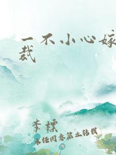 一不小心嫁给总裁