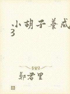 小胡子养成计划3