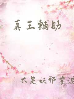 真王辅助