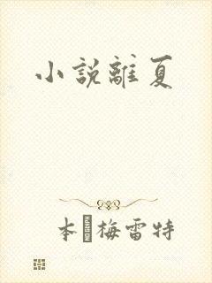 小说离夏