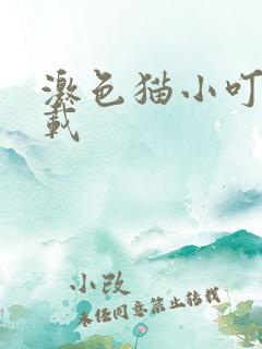 激色猫小叮当下载