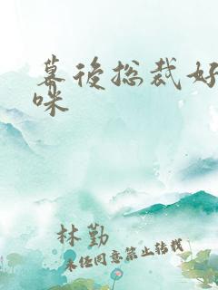 幕后总裁好孕妈咪