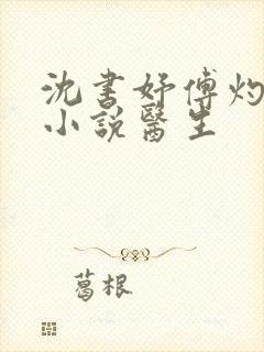 沈书妤傅灼抖音小说医生