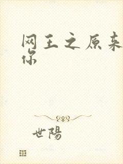 网王之原来我爱你