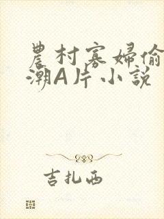 农村寡妇偷人高潮A片小说