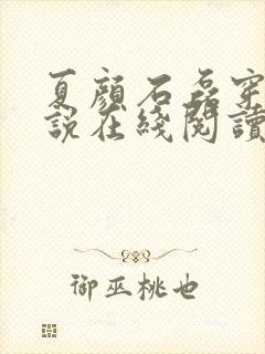 夏颜石磊穿越小说在线阅读