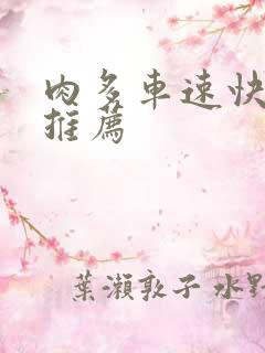 肉多车速快的书推荐