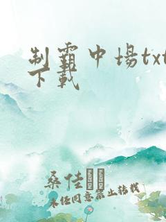 制霸中场txt下载