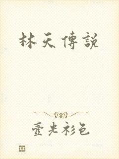 林天传说