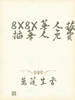 8X8X华人拔插华人免费