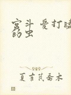 宫斗 爱打瞌睡的虫