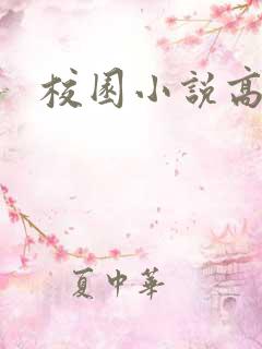 校园小说高h
