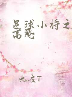 足球小将之展翅高飞