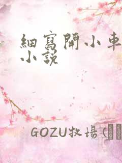 细写开小车车的小说