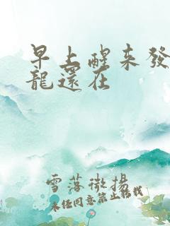 早上醒来发现巨龙还在